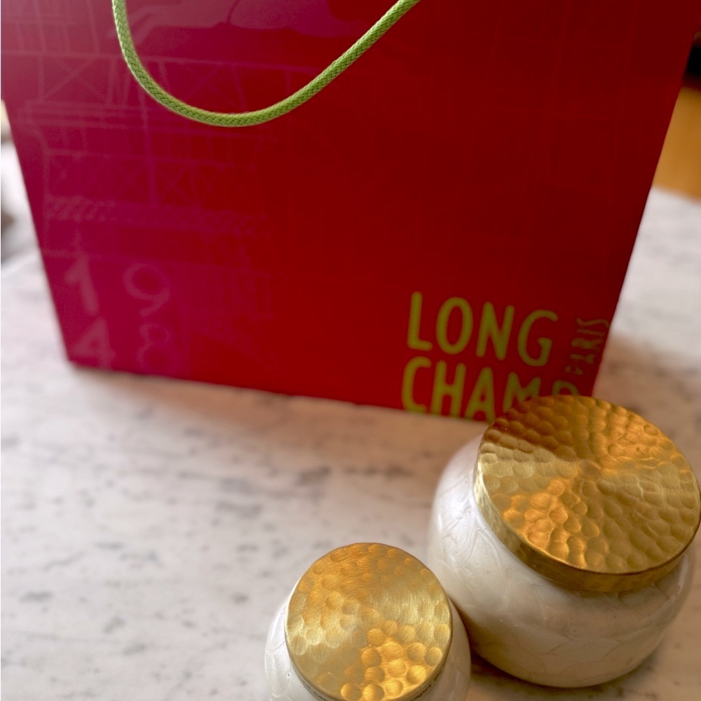 Longchamp Pink and Green Gift Bag